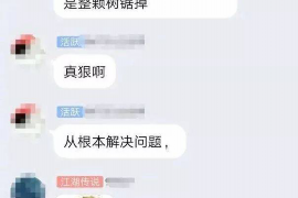 阿坝融资清欠服务